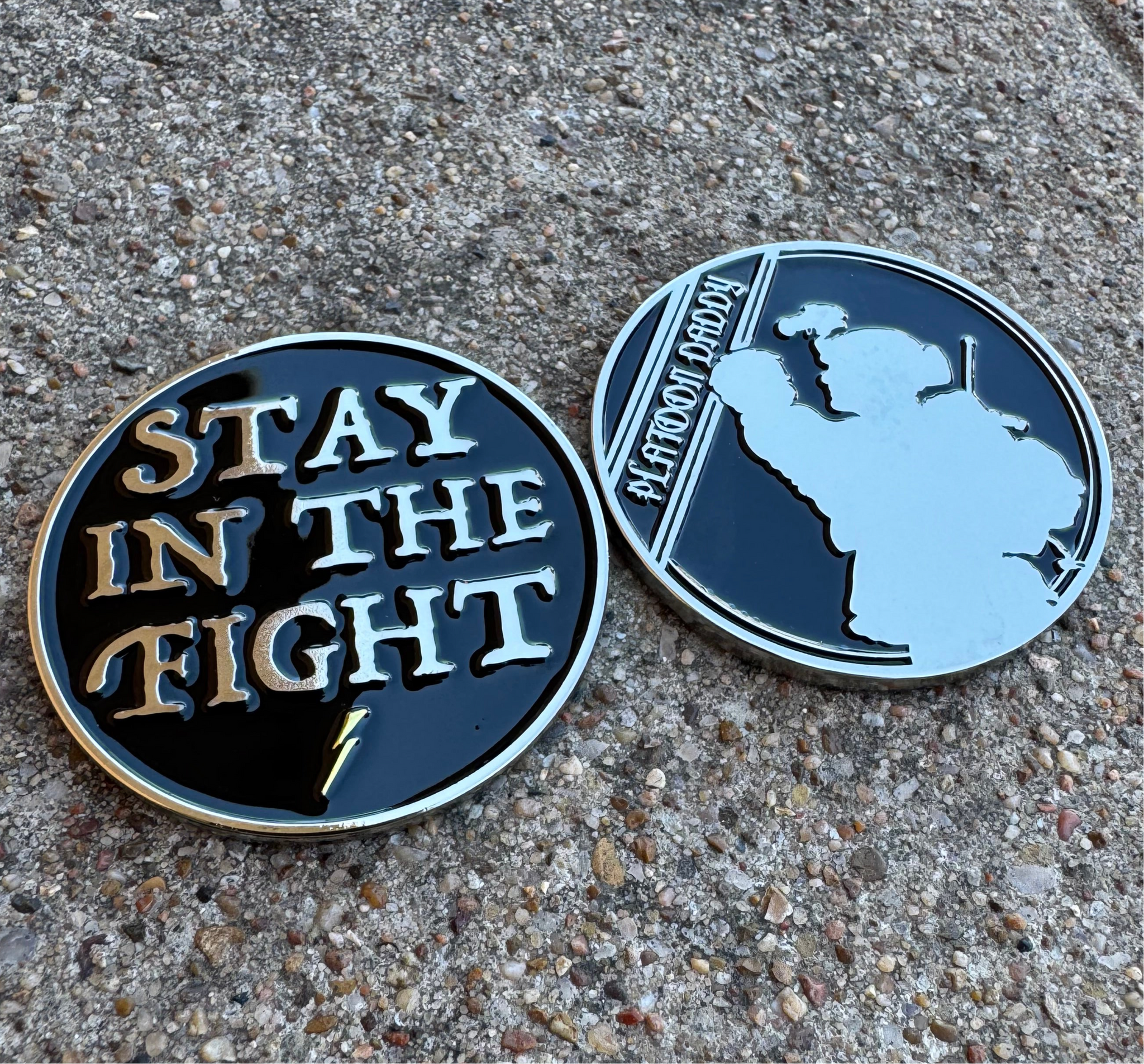 Stay In The Fight Coin