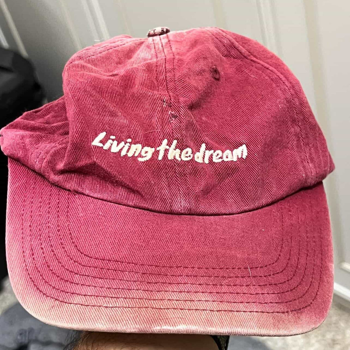 Living The Dream Dad Hat