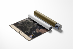 119 Canvas