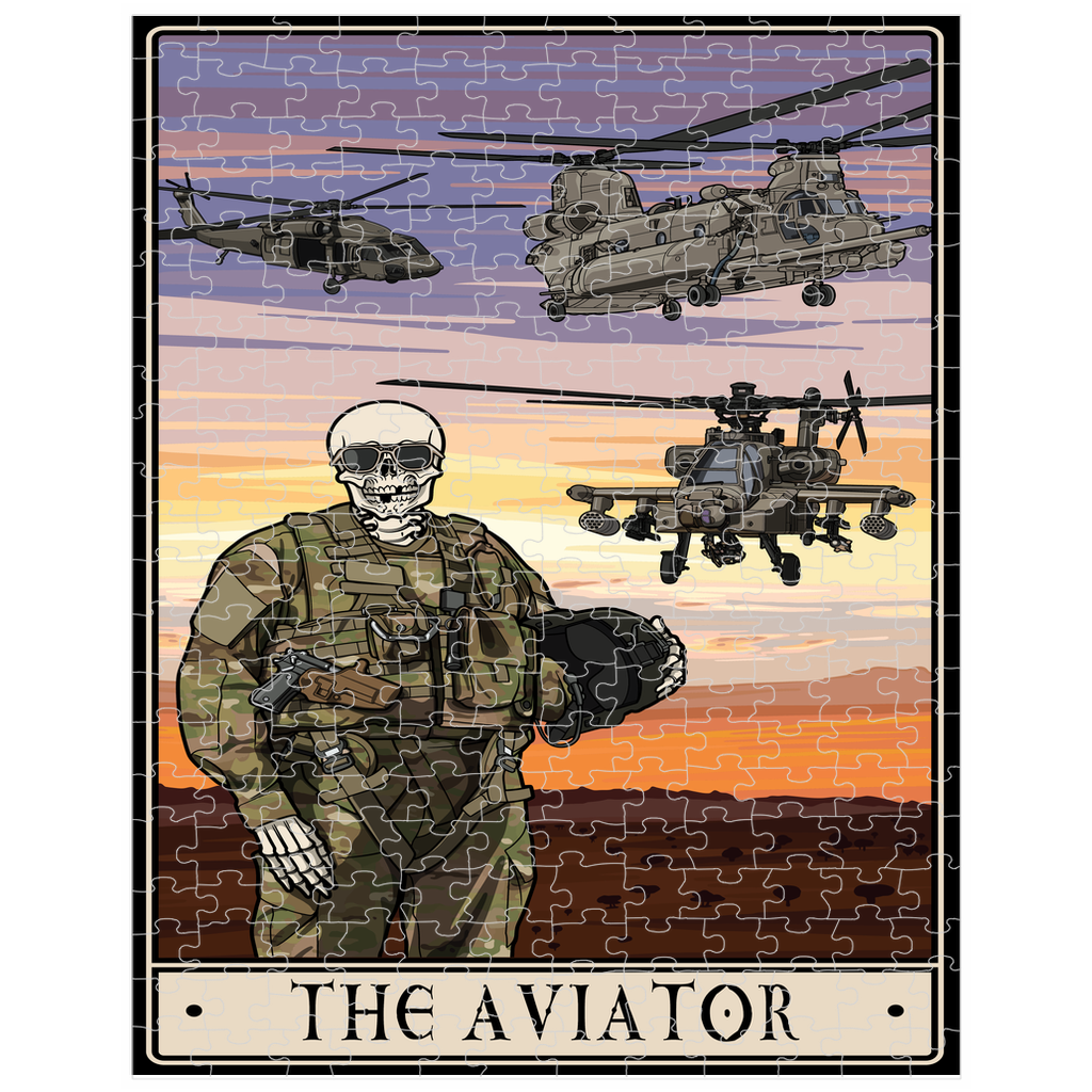 Aviator Puzzle