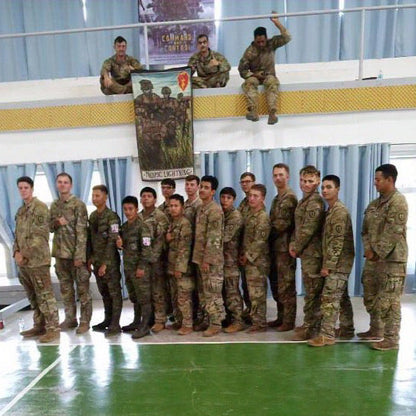 Tropic Lightning Flag