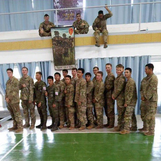 Tropic Lightning Flag