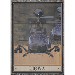 Kiowa Woven Blanket