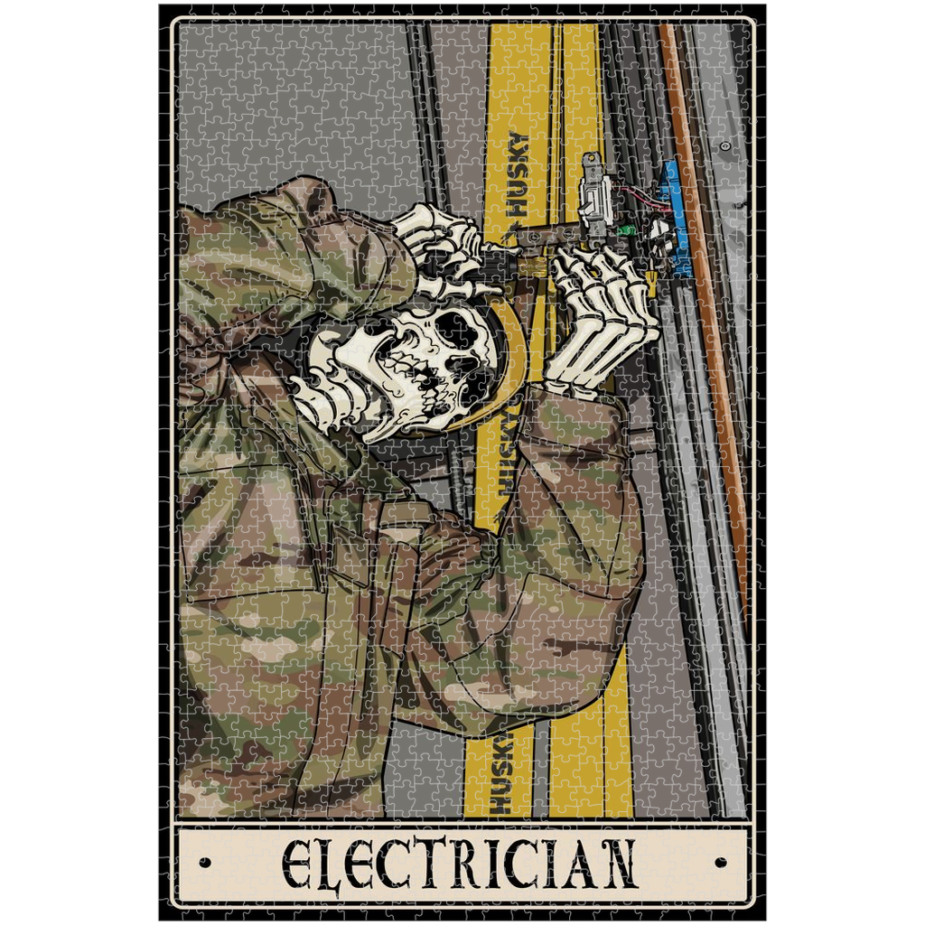 Electrician Puzzle