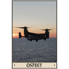 Osprey Acrylic Print - 1/4 inch / 20x30 inch