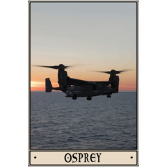 Osprey Acrylic Print - 1/4 inch / 24x36 inch