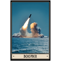 Boomer Acrylic Print - 1/4 inch / 12x18 inch