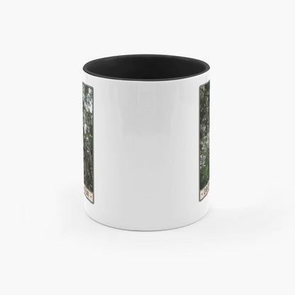 generated-proPreview-4