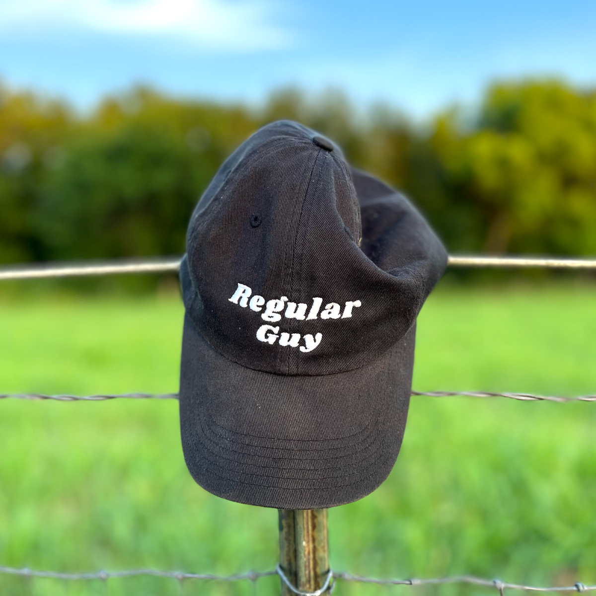 Regular Guy Dad Hat