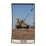 MLIDS Flag