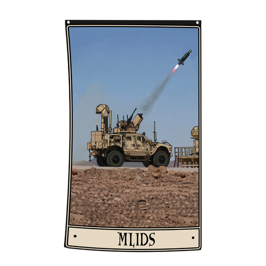 MLIDS Flag