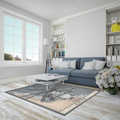 CH53 Area Rug (Copy) - Polyester Chenille / 7x5 ft