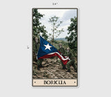 Boricua Sticker