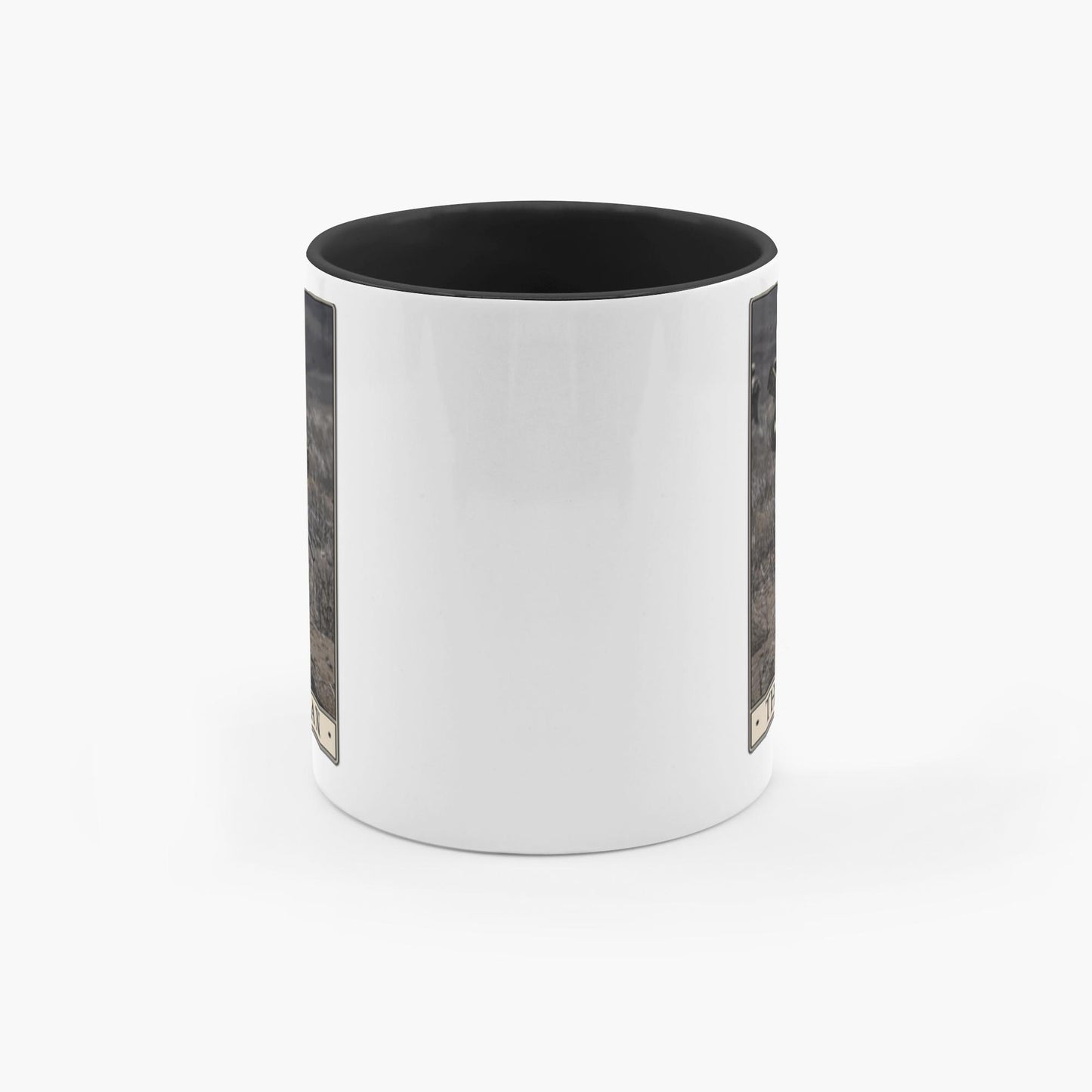 generated-proPreview-4