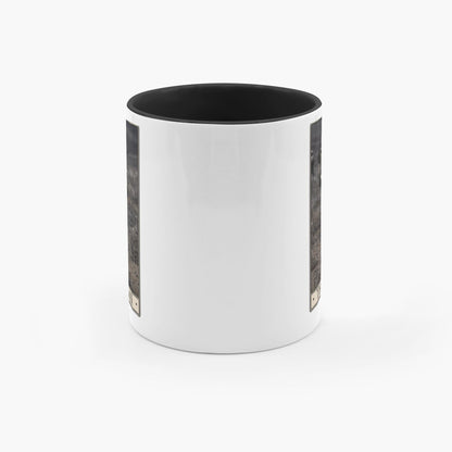 generated-proPreview-4