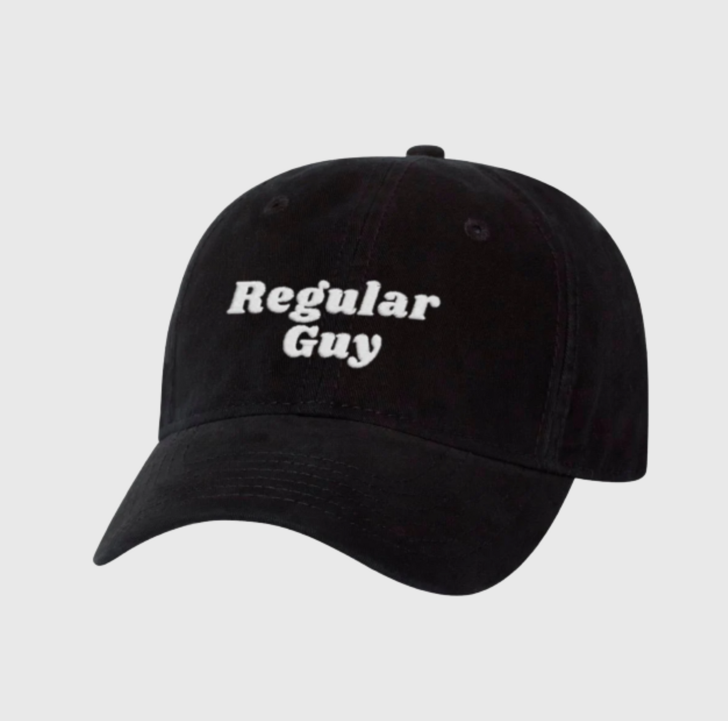 Regular Guy Dad Hat