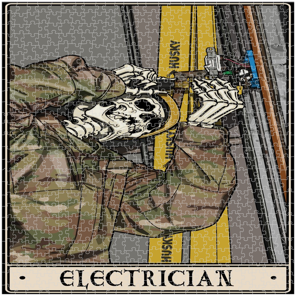 Electrician Puzzle