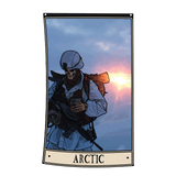 Arctic Flag