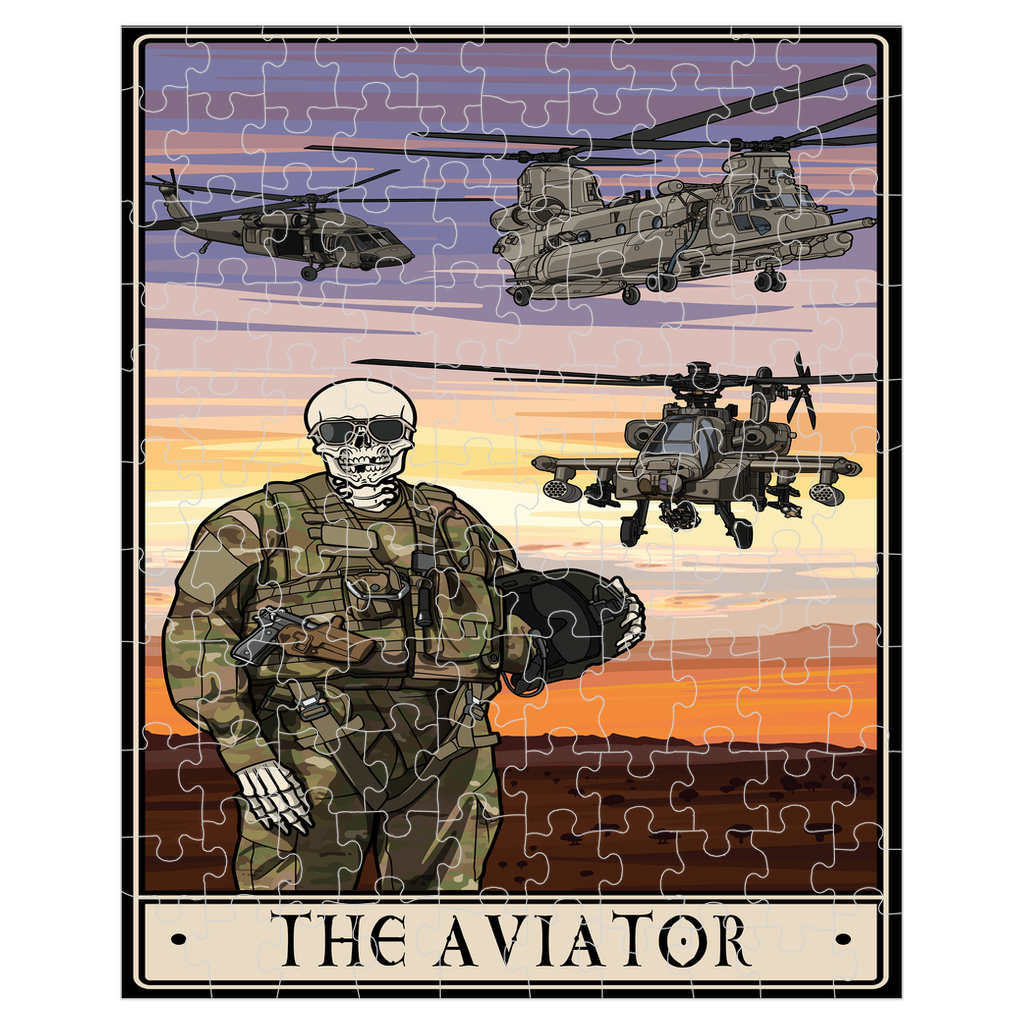 Aviator Puzzle