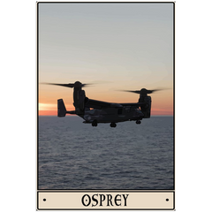 Osprey Acrylic Print - 1/4 inch / 12x18 inch