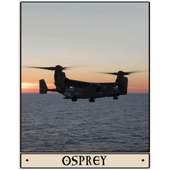 Osprey Acrylic Print - 1/4 inch / 11x14 inch