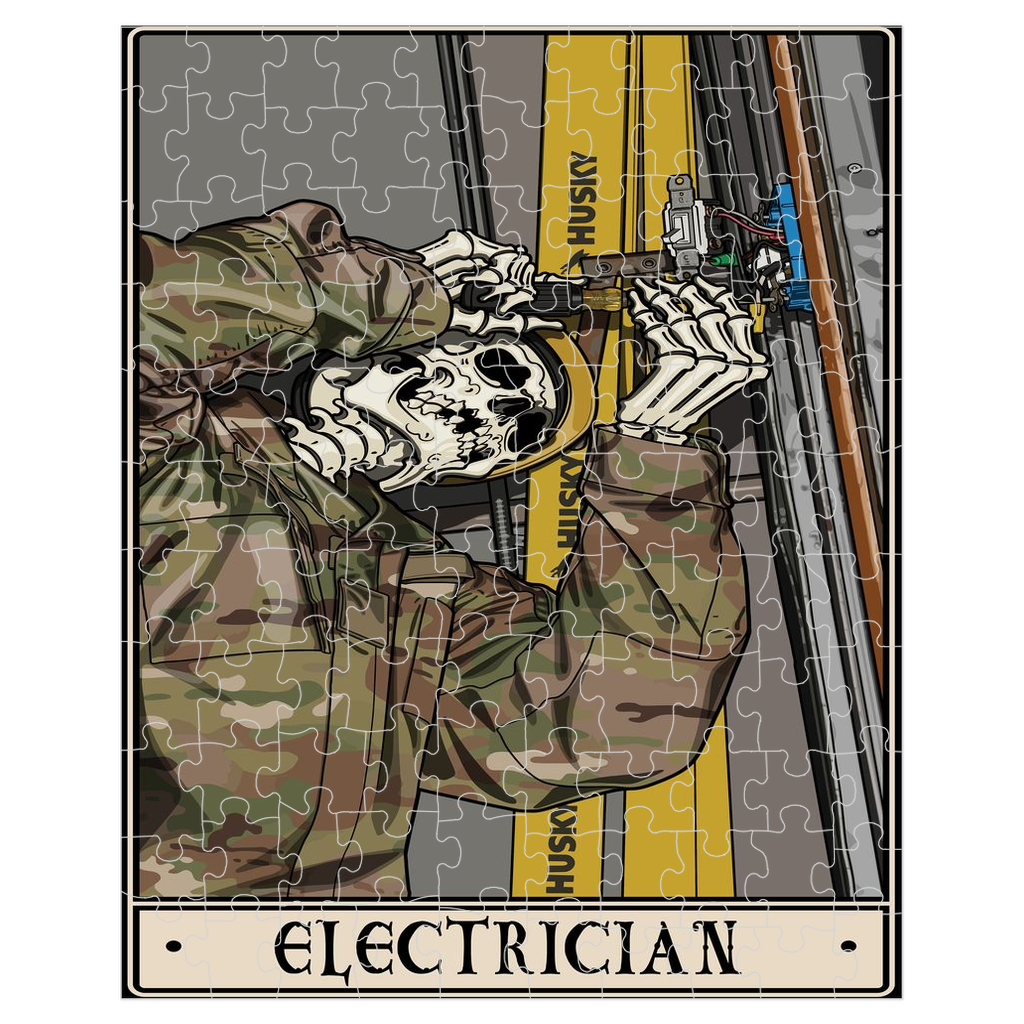 Electrician Puzzle