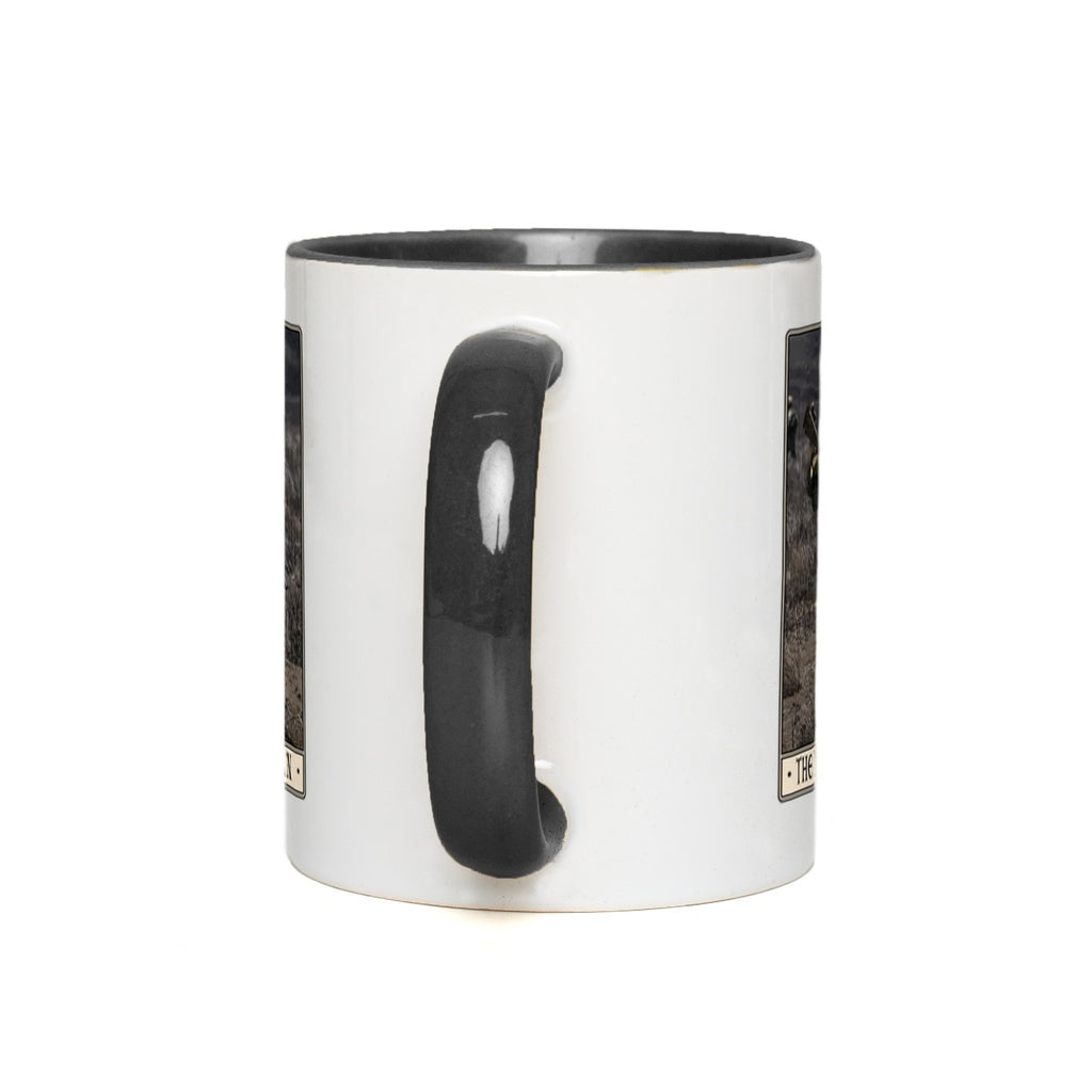 generated-proPreview-7