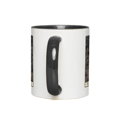 generated-proPreview-7