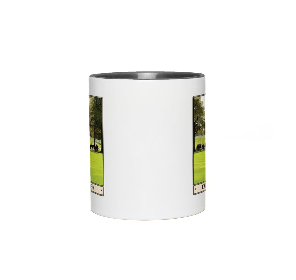 generated-proPreview-5