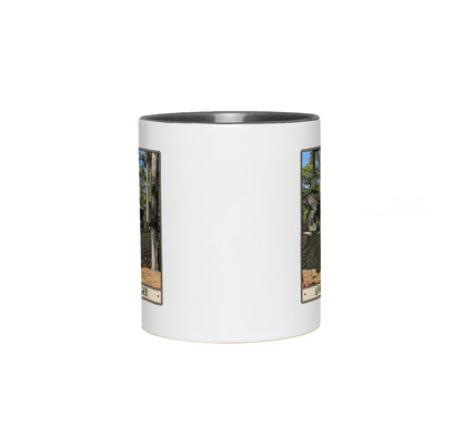 generated-proPreview-1